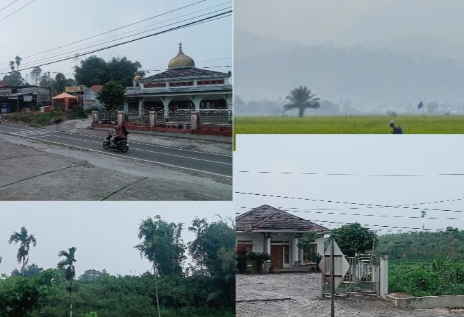 Pemprov Sumbar Bakal Surati Pemerintah Pusat Terkait Dugaan Karhutla Yang Semakin Meluas